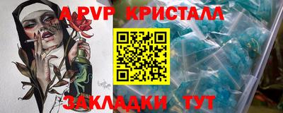 гидра Кингисепп