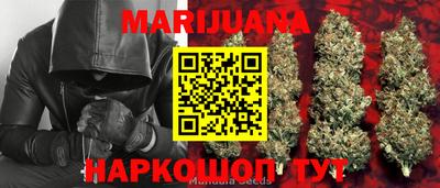 гидра Кингисепп