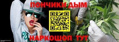 гидра Кингисепп
