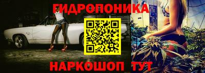 гидра Кингисепп