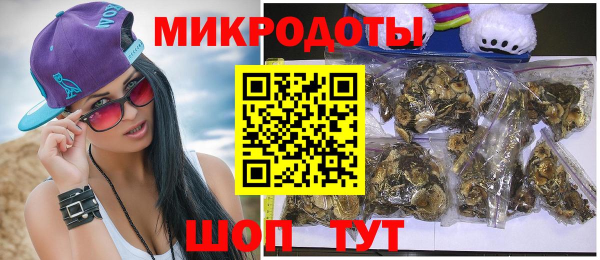 Галлюциногенные грибы Psilocybine cubensis Краснокаменск