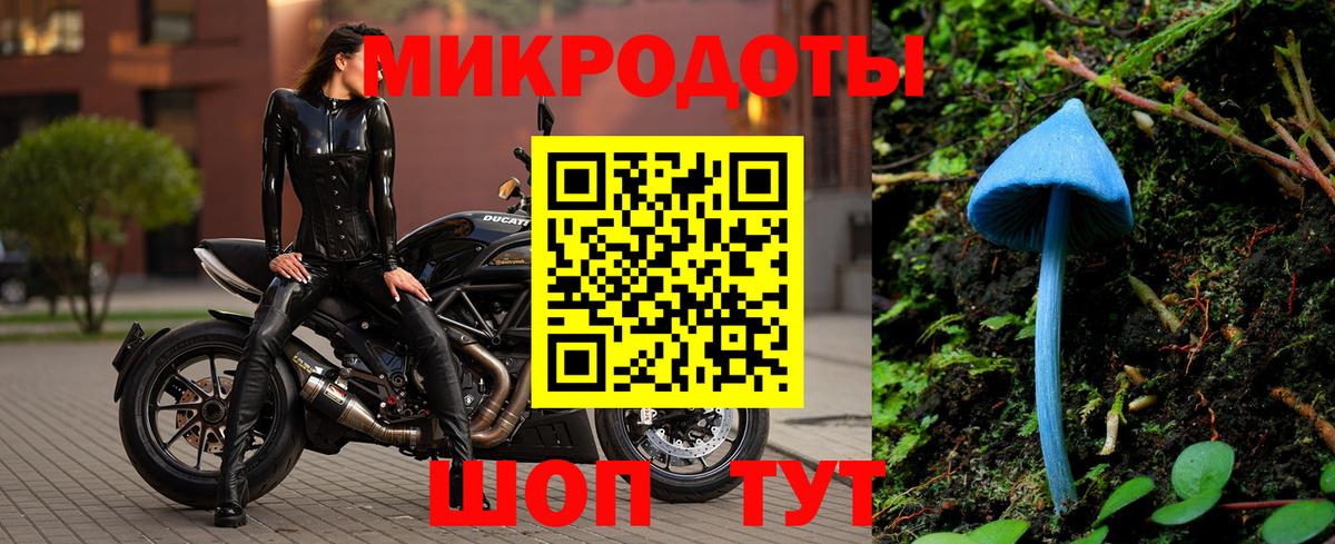 Краснокаменск  Псилоцибиновые грибы прущие грибы  Вход с VPN 